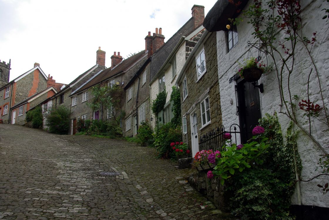 gray concrete pathway between houses during daytime