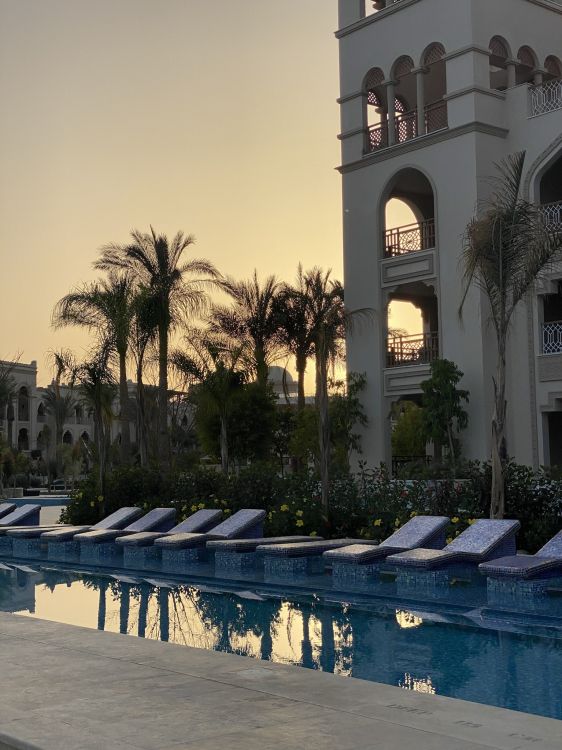 Reflexion, Pool, Palme, Immobilie, Wasser. Wallpaper in 1536x2048 Resolution