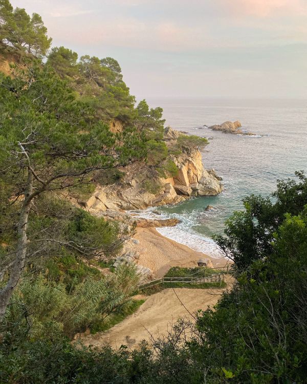 Côte, Promontoire, Paysage Naturel, Rive, Banque. Wallpaper in 3024x3780 Resolution