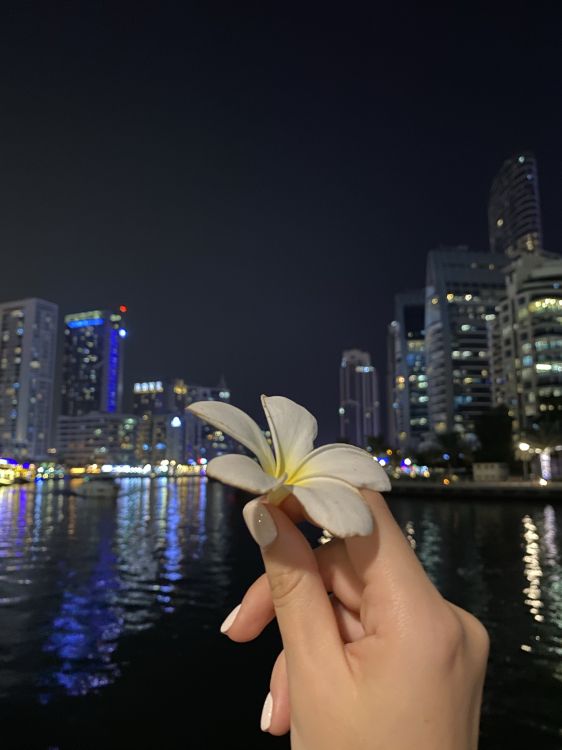 Reflexión, Agua, Dedo, Pétalo, Torre de Bloques. Wallpaper in 1536x2048 Resolution