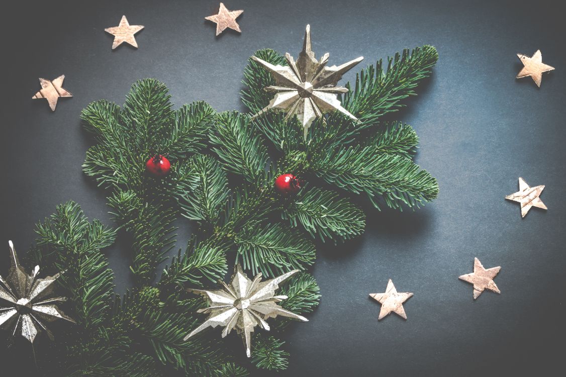 Christmas Day, Christmas Ornament, Oregon Pine, Christmas, Holiday Ornament. Wallpaper in 4995x3325 Resolution