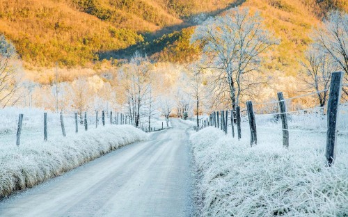 Image snow covered road between trees and mountains during daytime