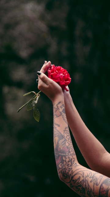 Image person holding red rose bouquet
