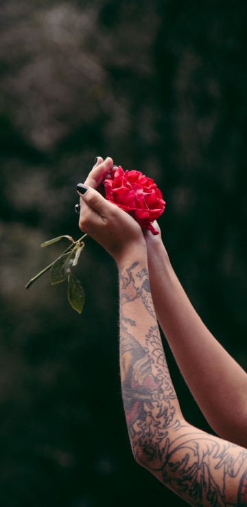 Image person holding red rose bouquet