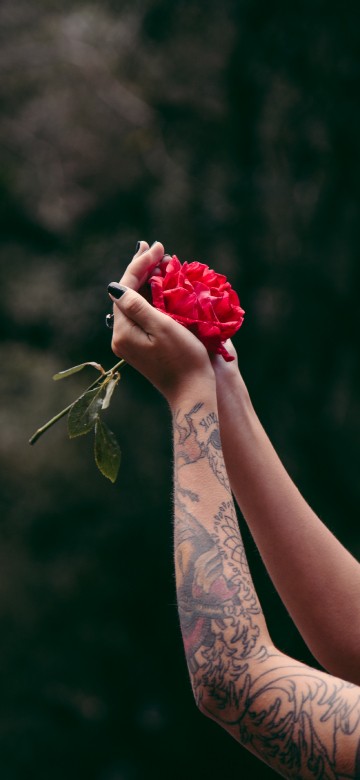 Image person holding red rose bouquet