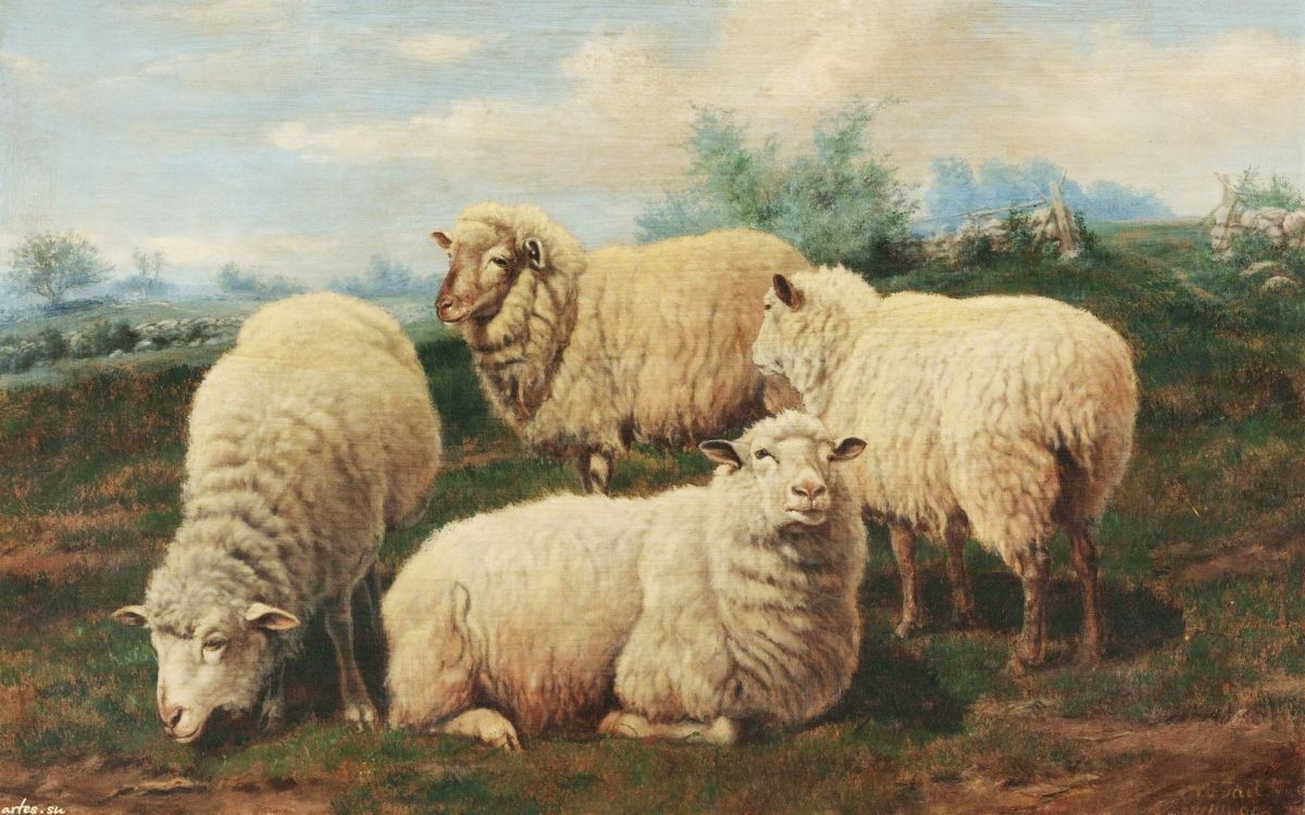 Mouton Blanc Sur Terrain D'herbe Verte Pendant la Journée. Wallpaper in 1920x1200 Resolution