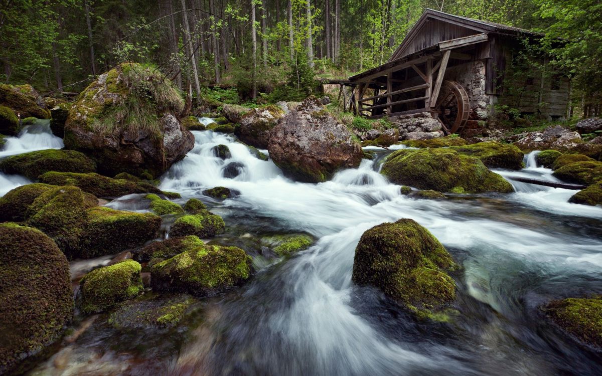 brown wooden house on green moss covered rock near river