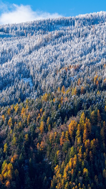 Image landscape, tree, natural landscape, nature, mountainous landforms