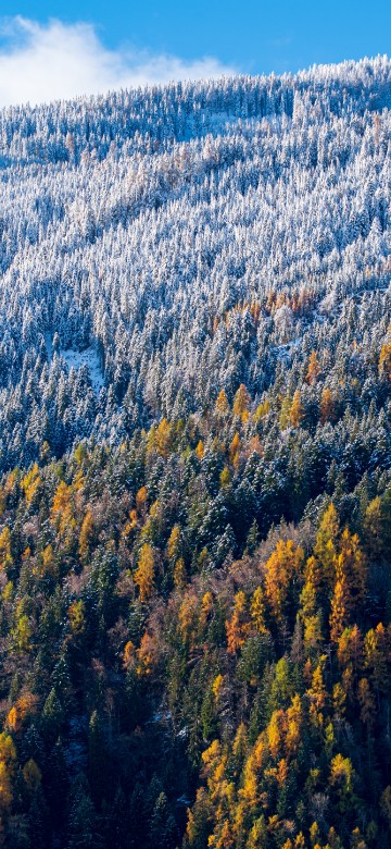 Image landscape, tree, natural landscape, nature, mountainous landforms