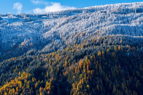 Image landscape, tree, natural landscape, nature, mountainous landforms