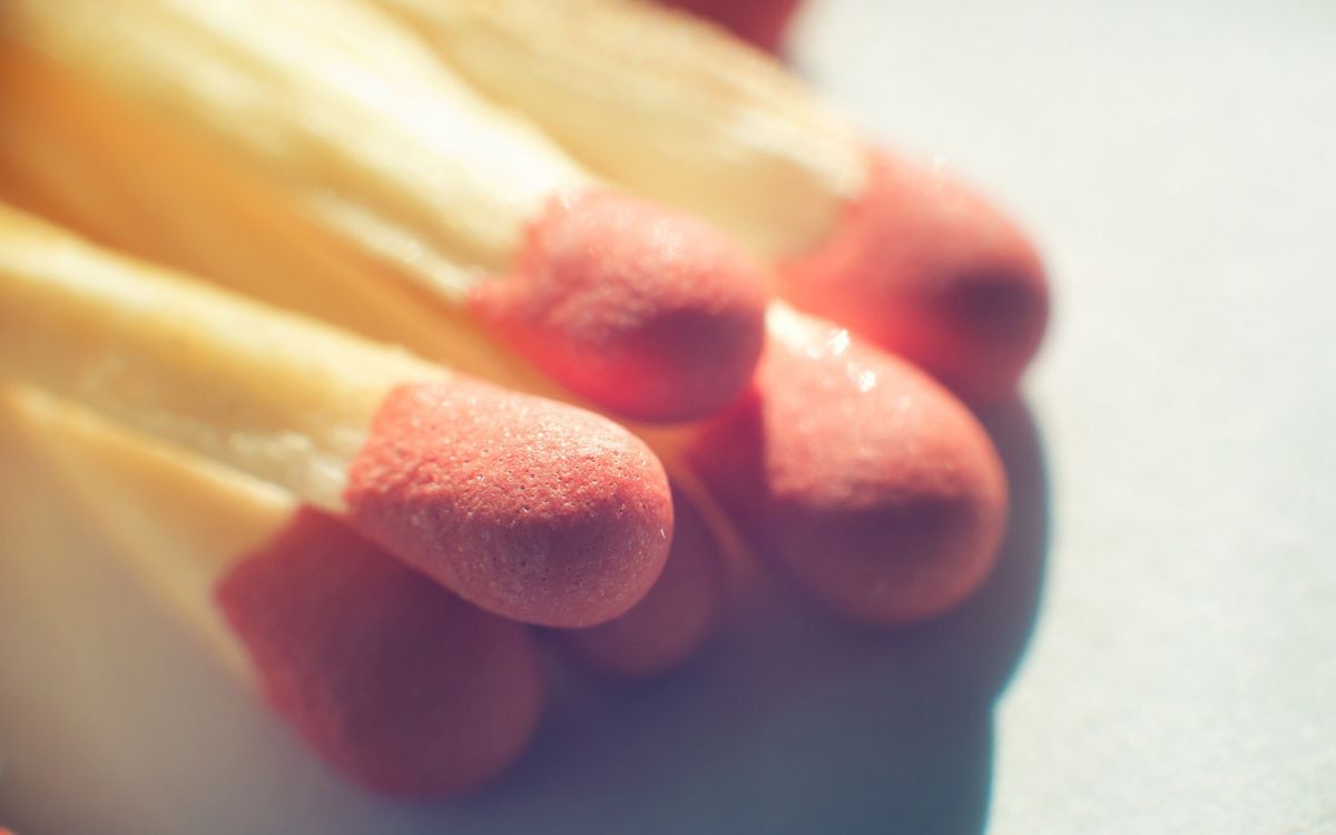 Couleur Jaune Rouge et Marron. Wallpaper in 2560x1600 Resolution