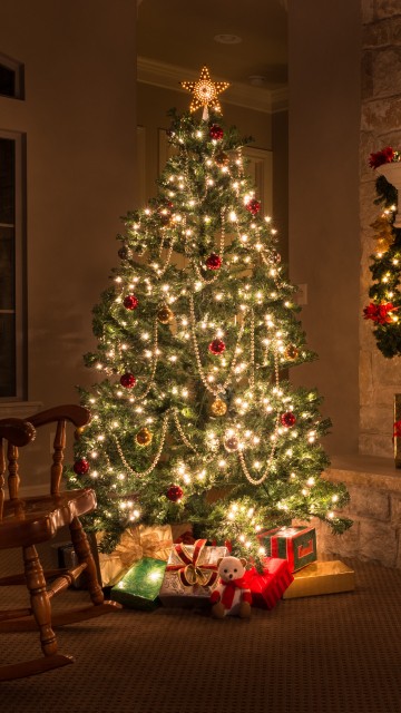 Image Christmas Day, christmas decoration, christmas tree, christmas, tree