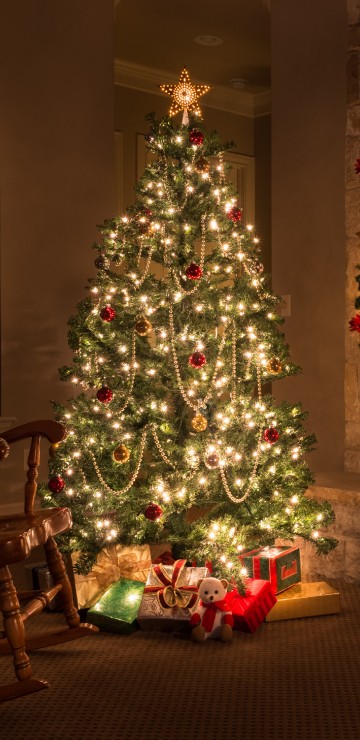 Image Christmas Day, christmas decoration, christmas tree, christmas, tree