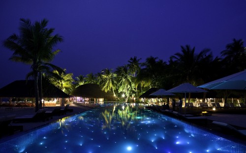 Image green palm trees near swimming pool during night time