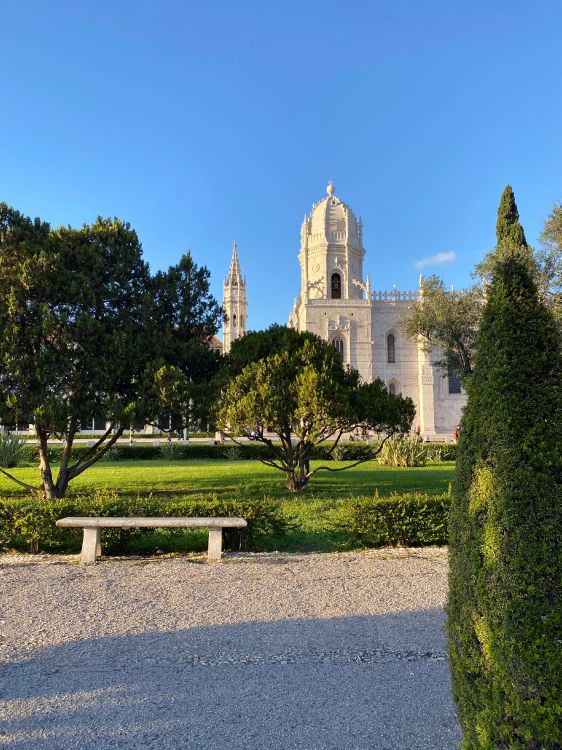 Arbuste, Garden, Evergreen, Banc D'extérieur, Parc. Wallpaper in 3024x4032 Resolution