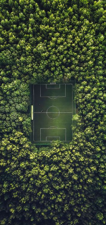 足球场, 体育场, 2022年国际足联世界杯, 奥特马尔·希茨费尔德 Gsponarena, 植物群 壁纸 1421x3000 允许