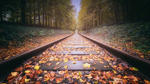 Image brown train rail in between green trees during daytime