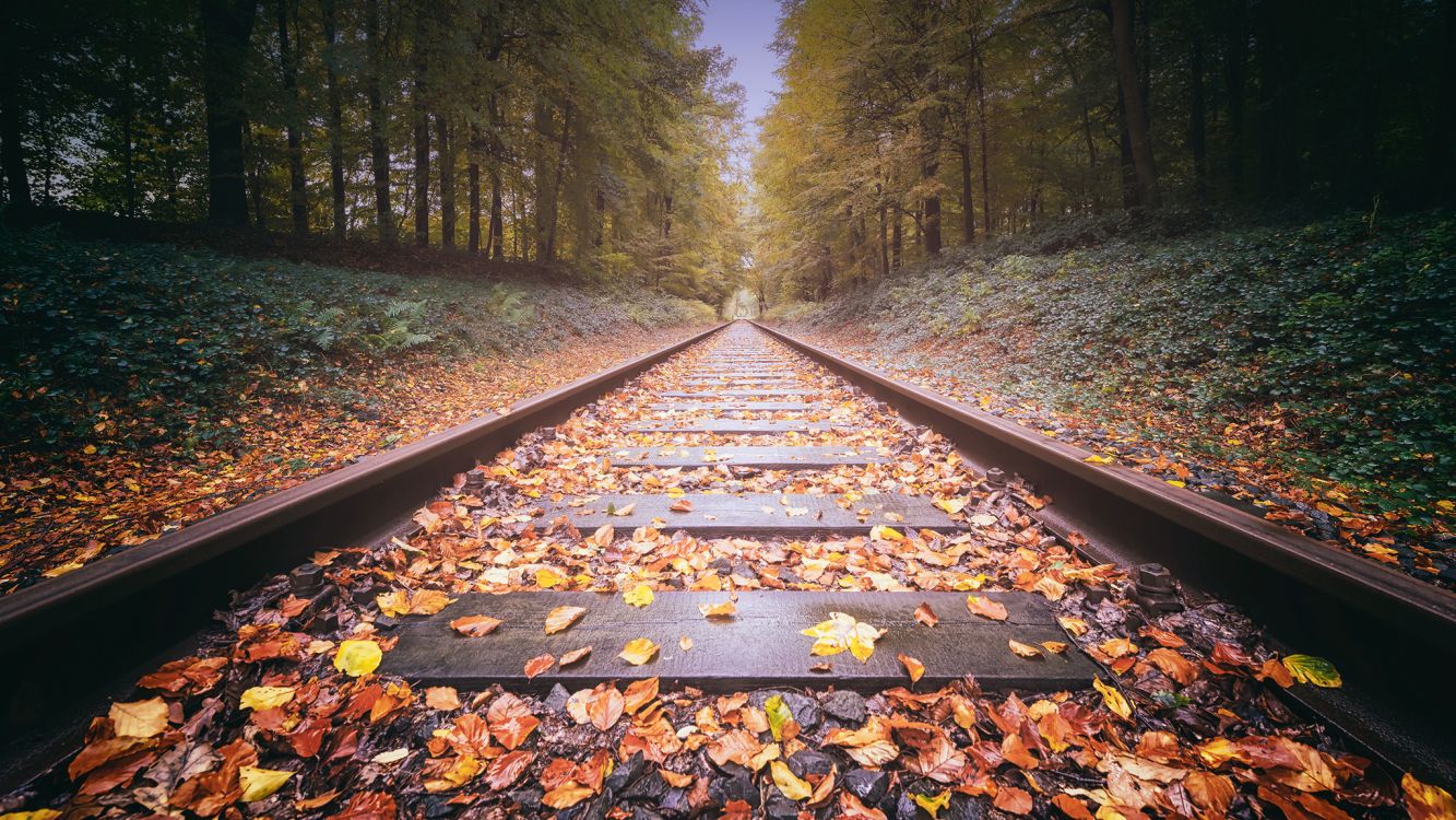 brown train rail in between green trees during daytime