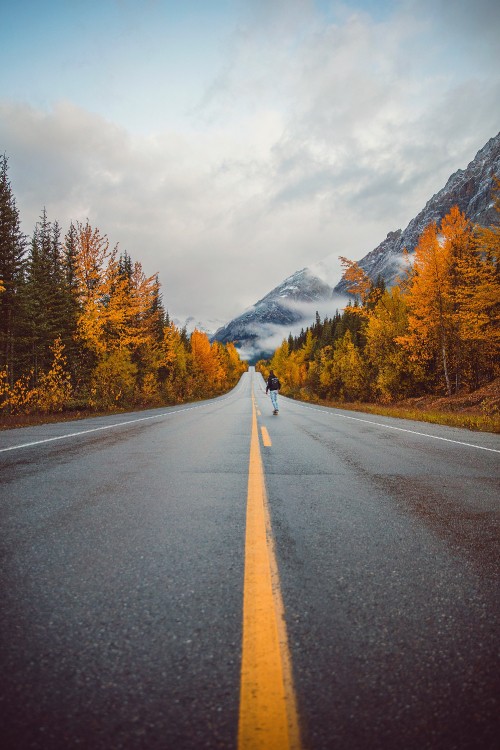 Image road, mountain, autumn, larch, sky