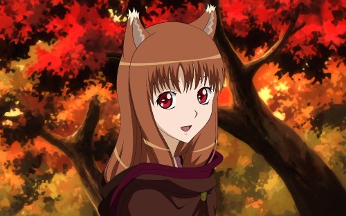 Spice And Wolf Wallpapers  Wallpaper Cave