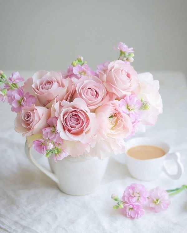 pink and white roses in white ceramic vase