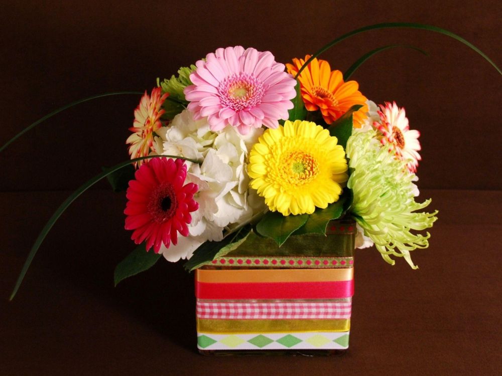 pink and white flowers in red and green box