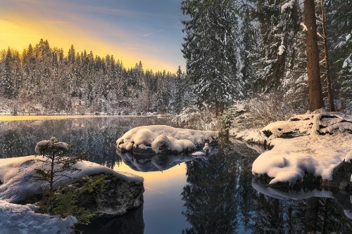 Image snow covered trees beside river during daytime