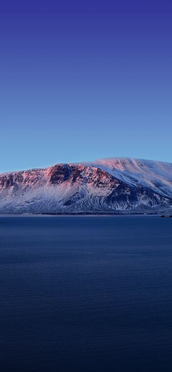 Vivo, Vivo NEX Dual Display, Vivo Nex, Manzana, Android. Wallpaper in 1080x2340 Resolution