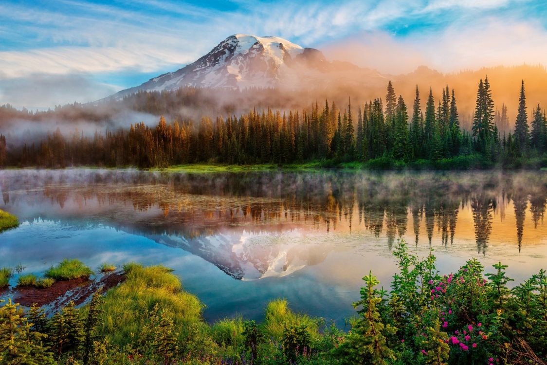 mount rainier, nature, natural landscape, reflection, wilderness