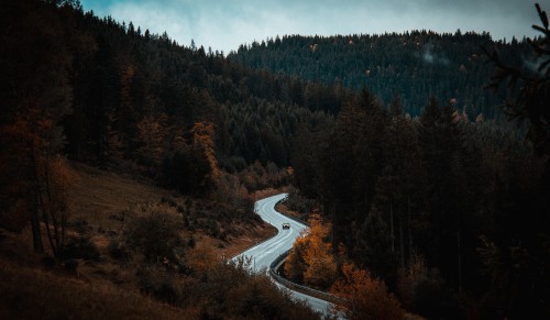 Image road in the middle of trees