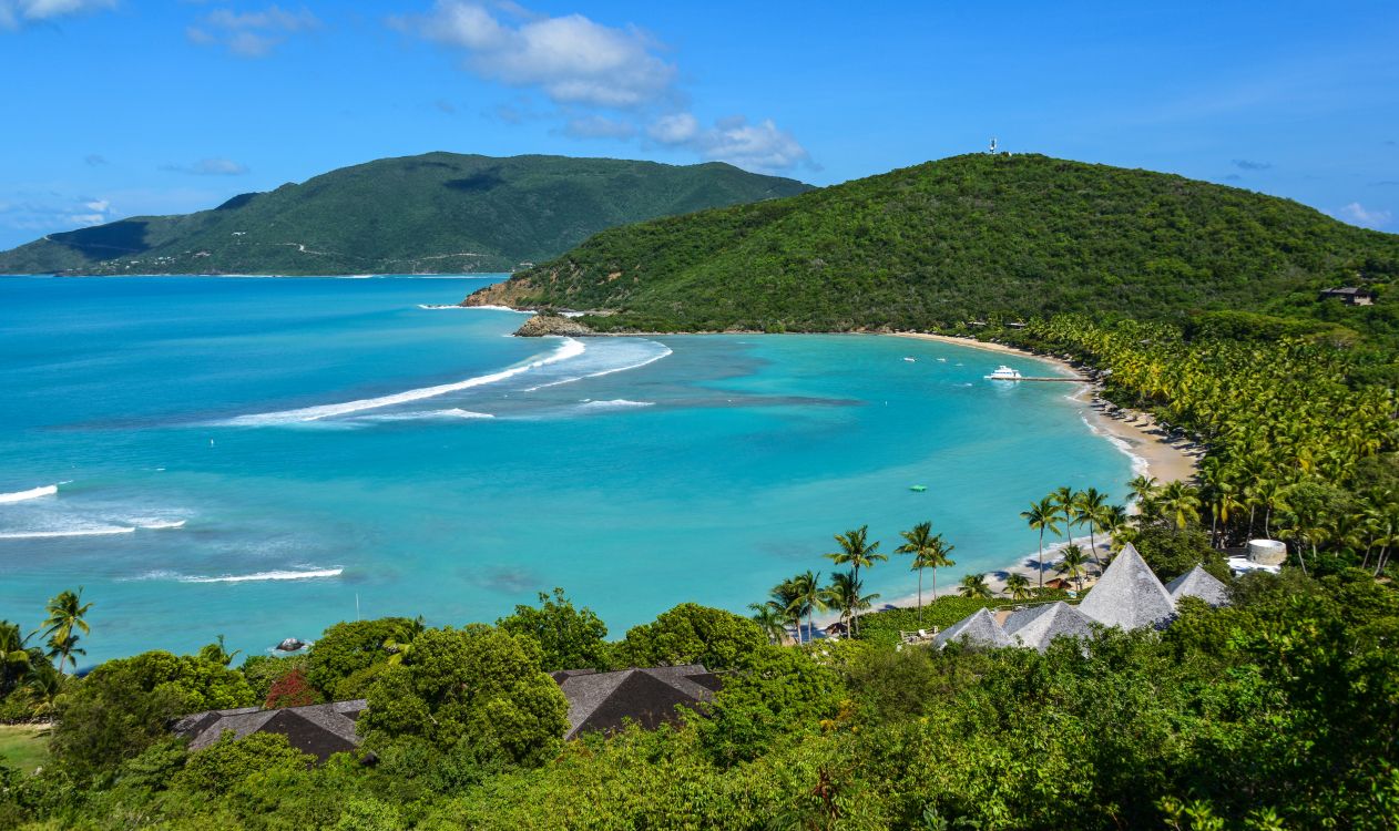 green trees near blue sea during daytime