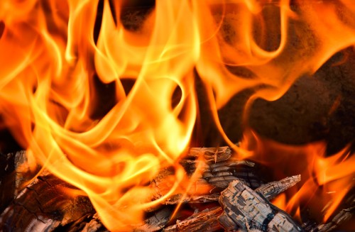 Image fire on brown wooden log