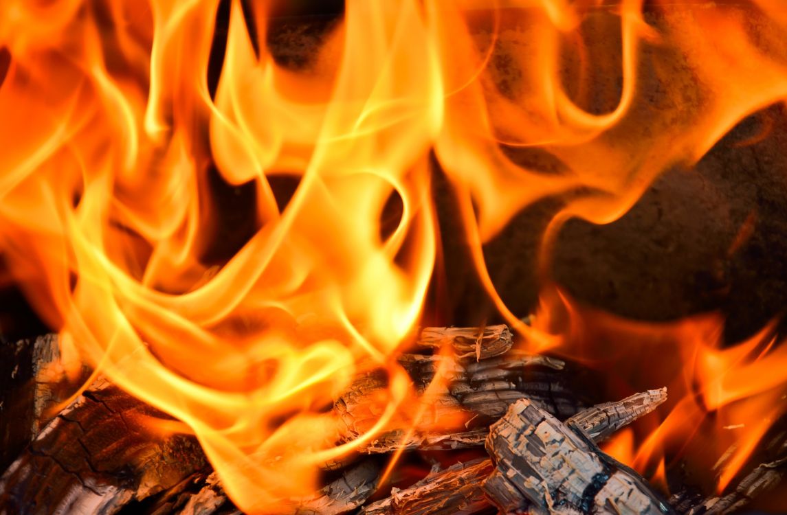 fire on brown wooden log