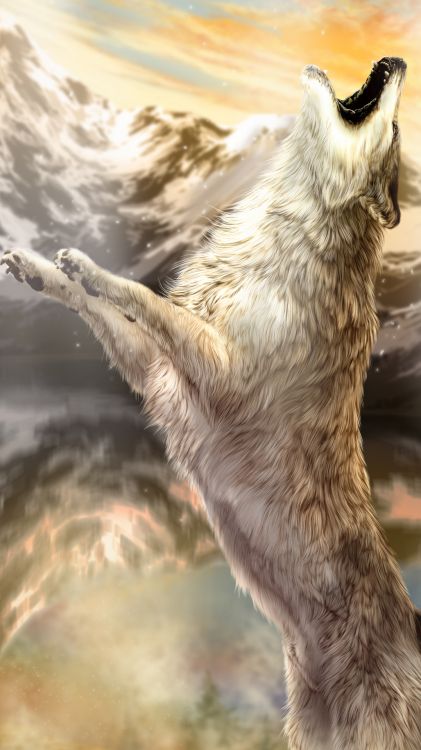 T恤, 贴纸, 狼, 性质, 小鹿 壁纸 1080x1920 允许