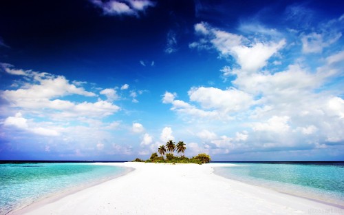 Image green trees on white sand beach under blue sky during daytime