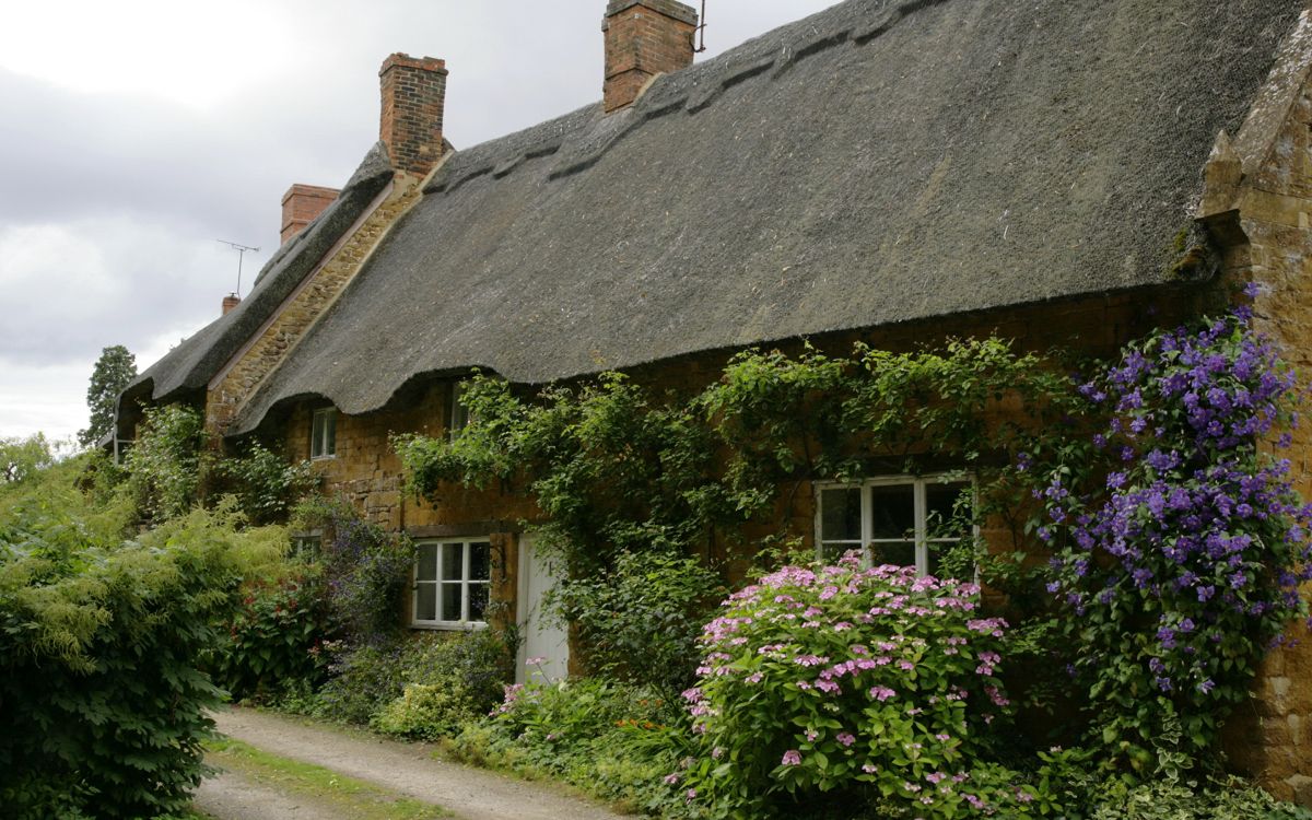 Braun-weißes Haus Mit Grünen Pflanzen. Wallpaper in 2880x1800 Resolution