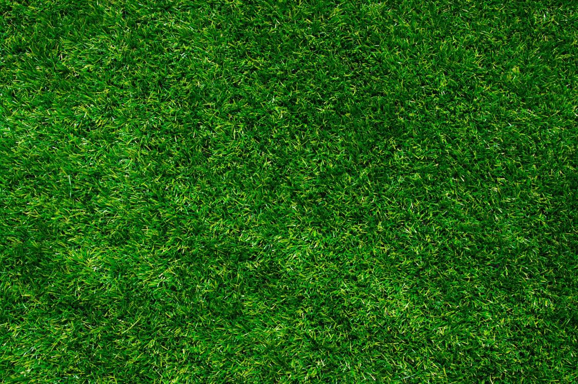 Champ D'herbe Verte Pendant la Journée. Wallpaper in 2000x1329 Resolution