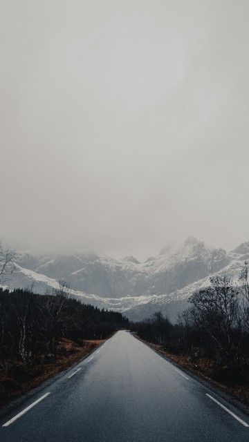 Image ridge, glacial landform, tree, sky, fog