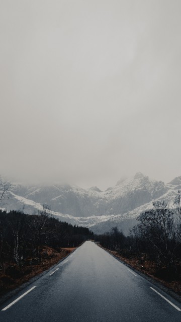 Image ridge, glacial landform, tree, sky, fog
