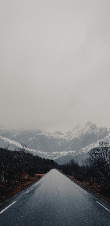 Image ridge, glacial landform, tree, sky, fog