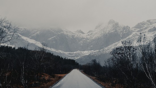 Image ridge, glacial landform, tree, sky, fog