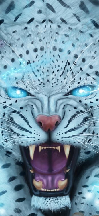 Mouth, Felidae, Whiskers, Grey, Liquid. Wallpaper in 1080x2340 Resolution