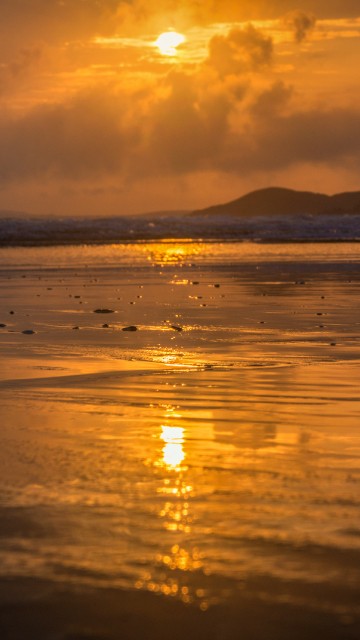 Image sunset, horizon, sea, sunrise, shore