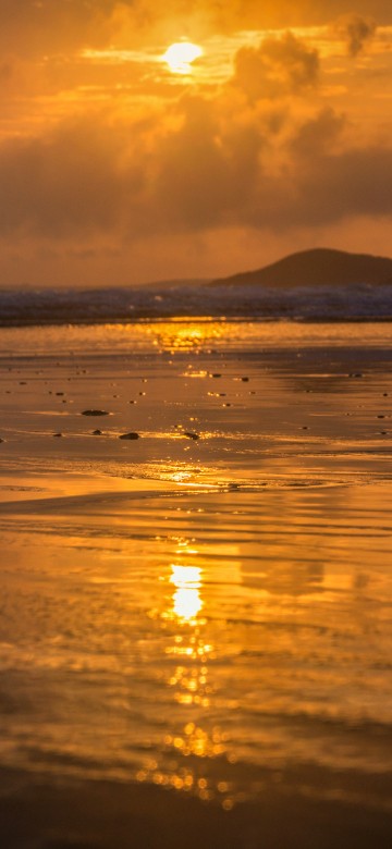 Image sunset, horizon, sea, sunrise, shore