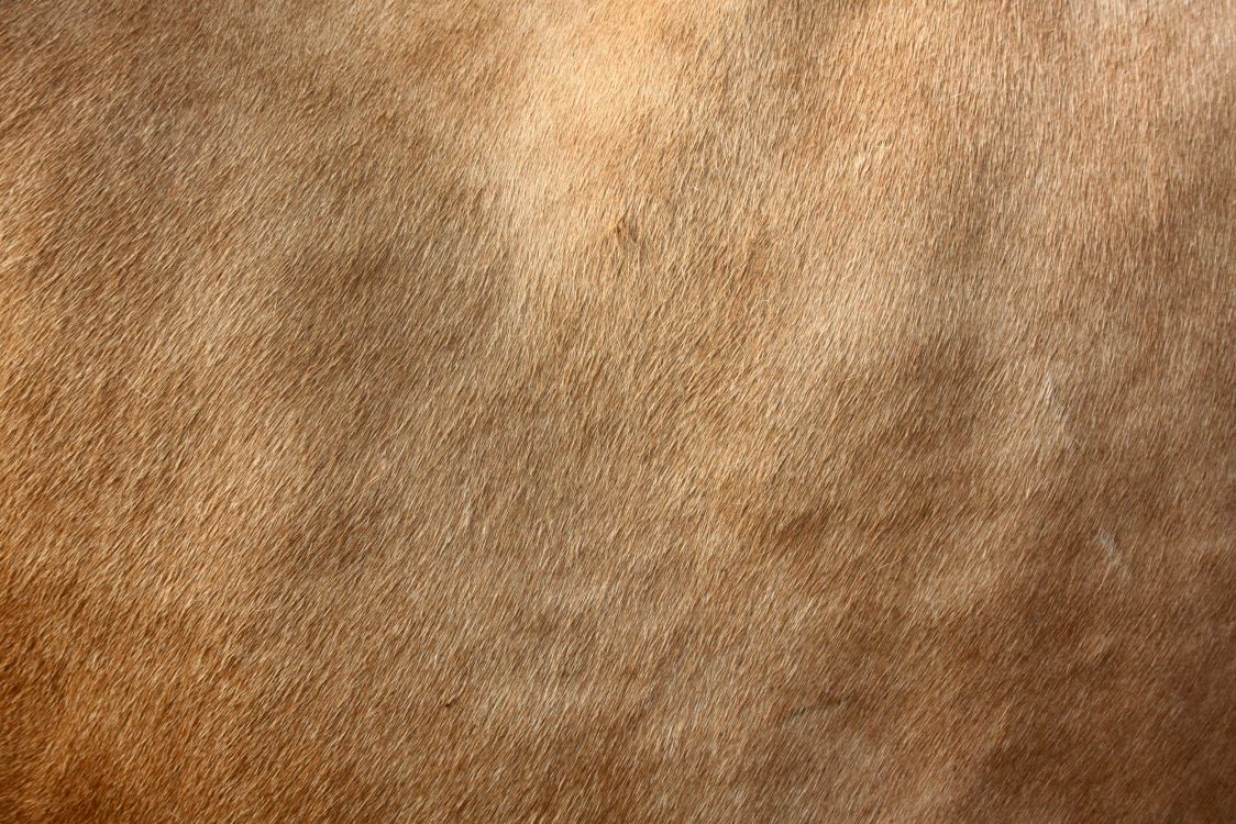 brown textile in close up image