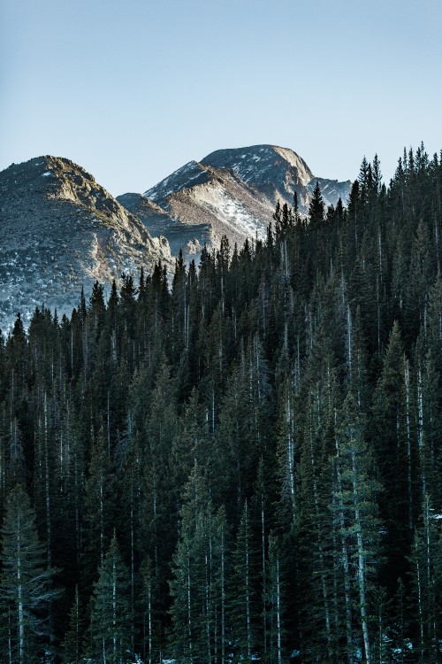 Image mountain, tree, natural landscape, biome, reflection