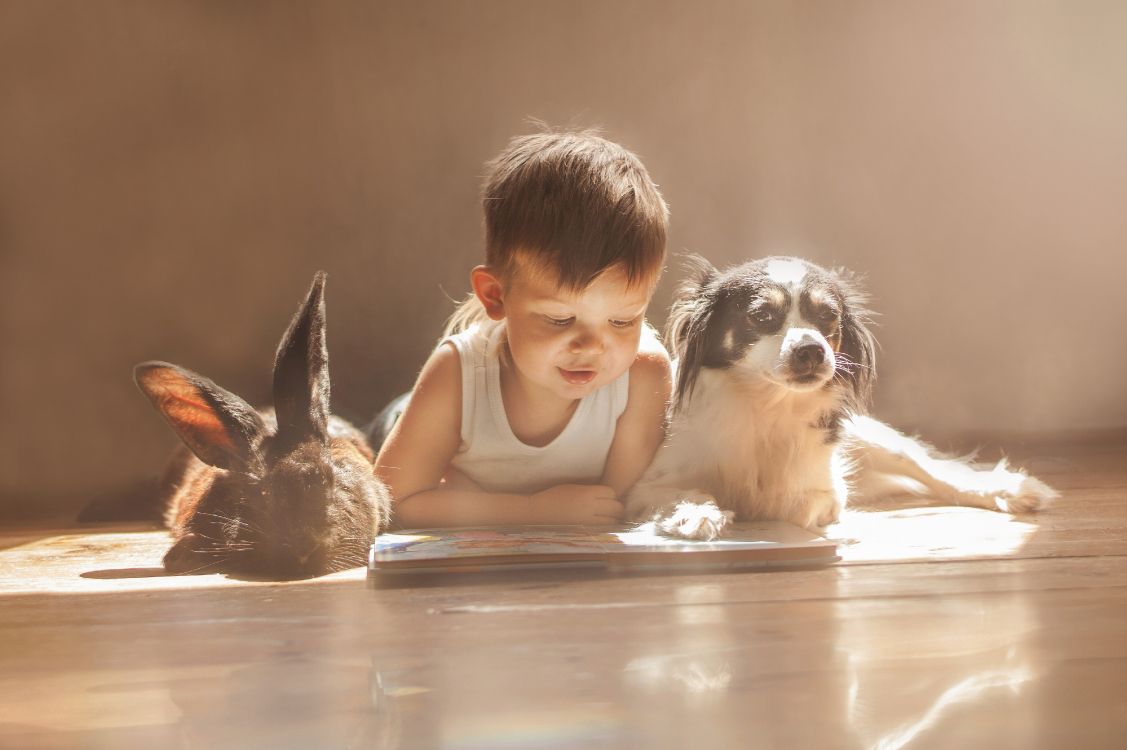 dog, rabbit, dog breed, child, puppy love