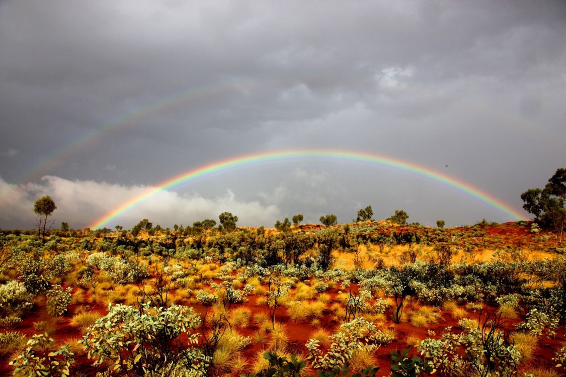 Gelbes Und Grünes Blumenfeld Unter Regenbogen Und Bewölktem Himmel Tagsüber. Wallpaper in 3370x2246 Resolution