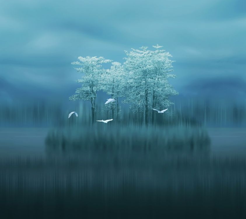 Huawei, Huawei Mate, Huawei Mate 10, Huawei Compagnon 20 x, Huawei Mate 20 Pro. Wallpaper in 2880x2560 Resolution