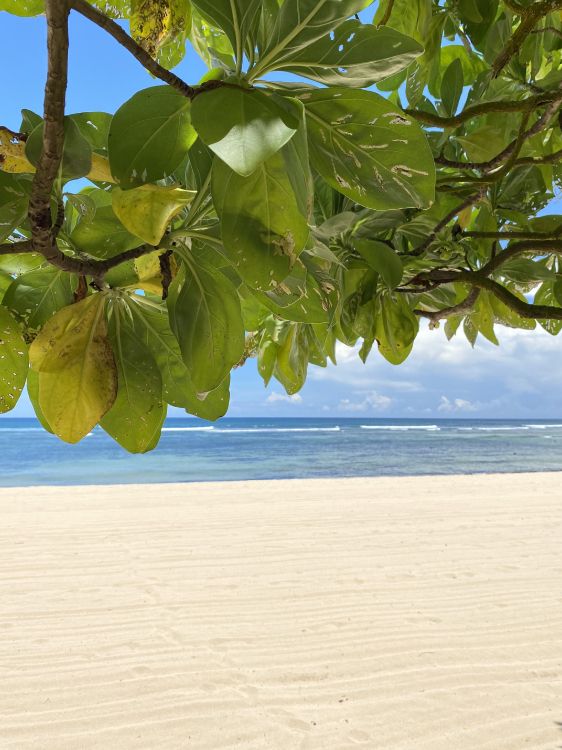 Agua, Orilla, Líquido, Arena, Playa. Wallpaper in 2865x3823 Resolution